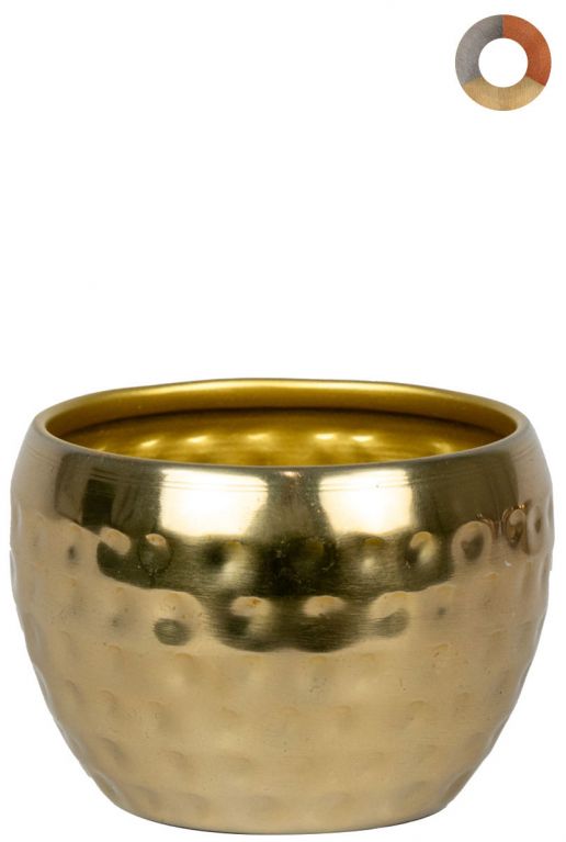 Ter-steege-kody-goud-9cm