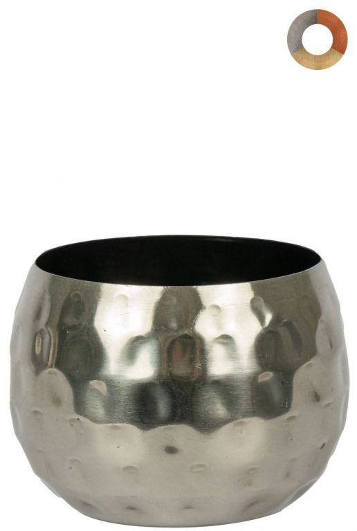 Ter-steege-kody-zilver-7cm