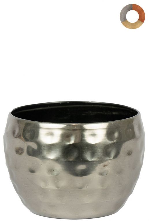 Ter-steege-kody-zilver-9cm