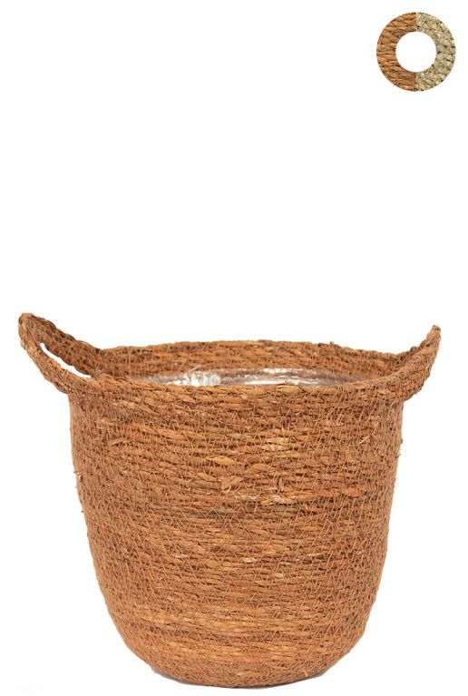 Ter-steege-nelis-camel-16cm