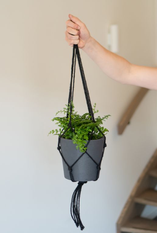 Onderdrukken Siësta voorjaar Plantenhanger 70 cm - 123planten.nl