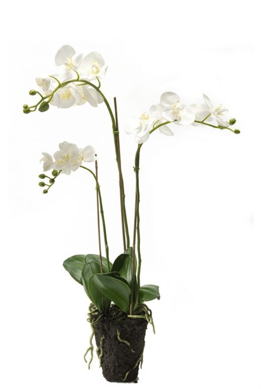 Witte orchidee kunstplant