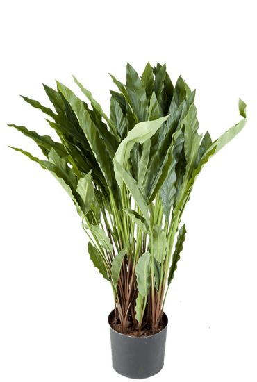 Calathea kunstplant zijdeplant