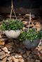 Artstone pot hangplant
