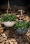 Artstone pot hangplant 3