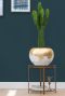 Baq gouden plantenbak