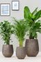 Baq luxe plantenbakken goud 1