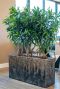 Baq roomdivider brons kantoorplanten 1