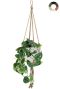 Bloempot hanger met plant 1