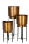 Bloempotten set goud minou