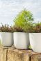 Bola pot beige plantenbak 2 3