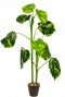 Caladium-kunstplant-2-stam