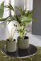 Capi nature groove groen potten