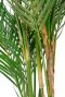Chamaedorea palm kunstplant
