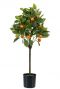 Citrus sinaasappelboom kunstplant