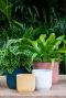 Elho-vibes-fold-kunststof-bloempotten 1