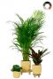 Elho pot en plant mix 1