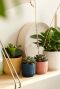 Elho vibes fold plant 3