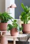 Elho vibes fold roze pot 3