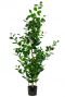 Ficus-groen-kunstplant-groot-