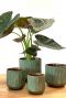 Groen goude bloempot 2