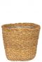 Grote mooie mand planten