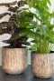 Grote taupe bloempot 1