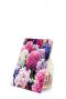 Hyacinthus mix voorkant