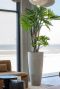 Kunstboom philodendron