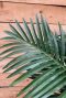 Kunstpalm blad