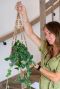 Macrame touwhangen planten