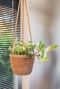 Mand hangplanten 1
