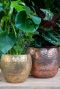 Metalen-bloempotten-thomas-goud-en-brons