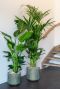 Metalen plantenpotten 1 2