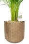 Metalen pot kamerplant