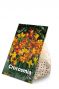 Crocosmia Mix 