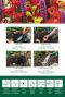 Bees & Butterflies Bulbs Mix