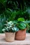 Panier-a-plantes-nelis-naturel-du-chameau 1