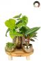 Planten in gouden pot