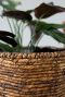 Plantenmand bruin 1