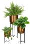 Plantenset minou potten