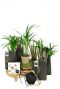 Relatiegeschenken planten