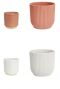 Roze en witte potten 2