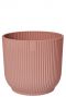 Roze pot planten