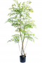 Ruscus kunstplant 150 cm