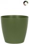 San-remo-groen-20cm-