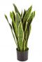 Sansevieria kunstplant kopen