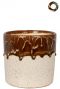 Ter-steege-gaby-bruin-14cm