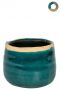 Ter-steege-iris-blauw-8cm 1