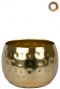 Ter-steege-kody-goud-7cm
